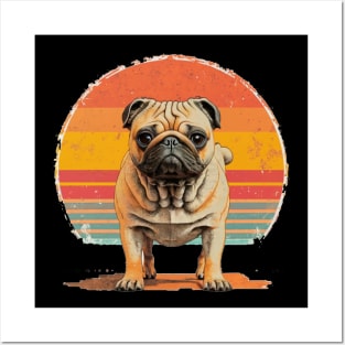 Pug vintage style Posters and Art